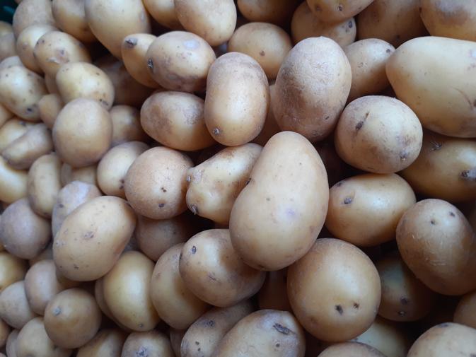 Kleine gewassen aardappelen