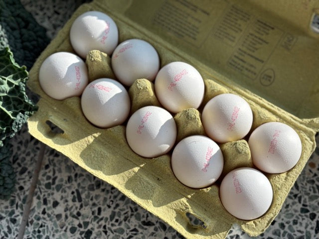 Biologische Eieren (10 stuks)