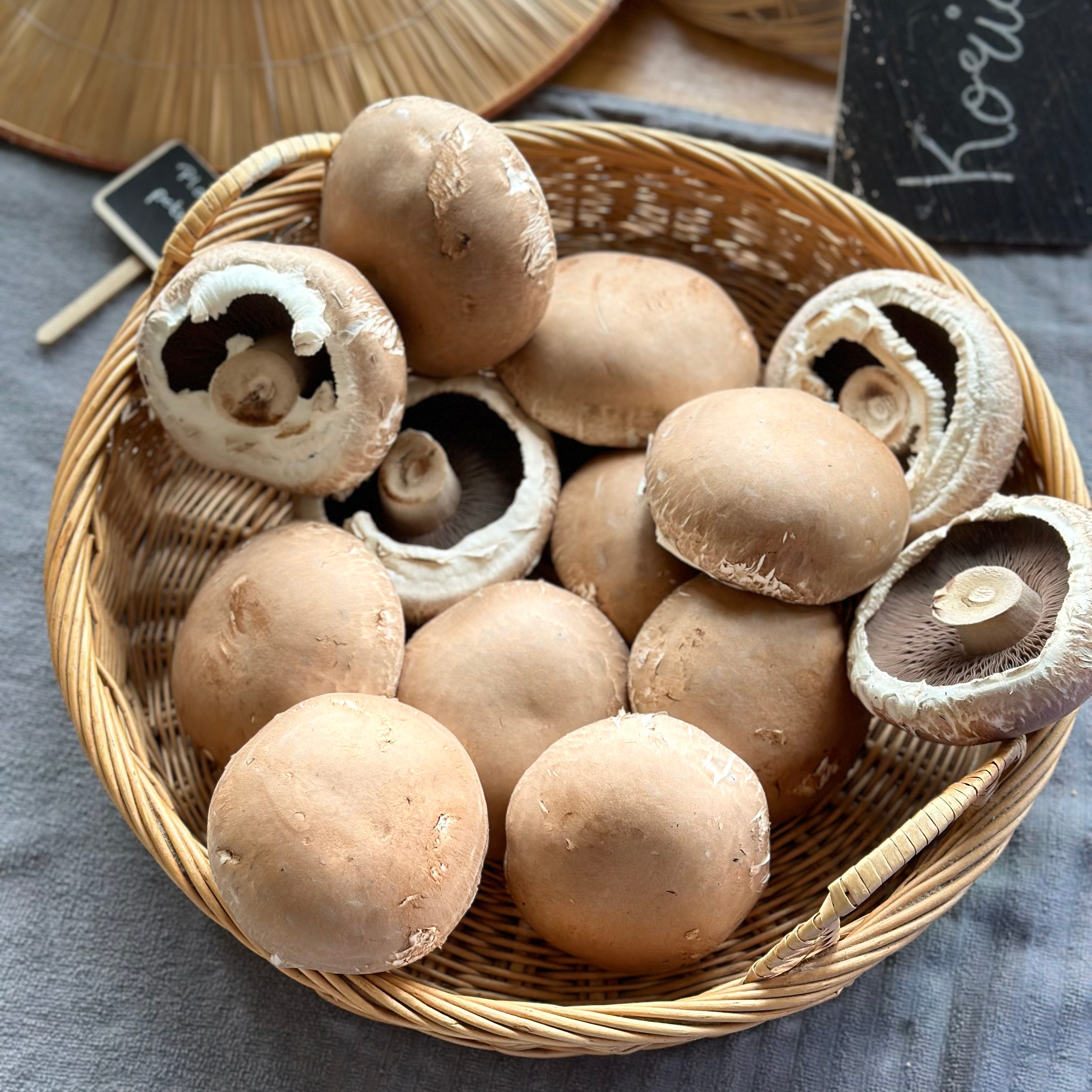 Portabella Paddenstoel